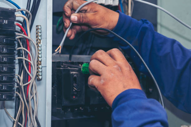 Best Home Electrical Repair  in Crivitz, WI